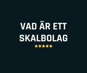 Skalbolag
